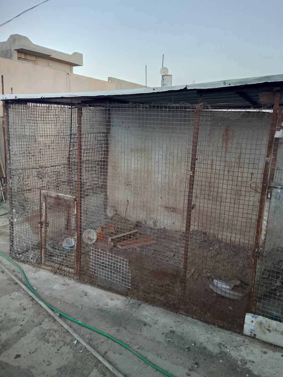 قفص حديد مال طيور للبيع


**إذا كنت صاحب هذا الإعلان وتريد حذفه لأي سبب، رجاءا أرسل رسالة إلى الدعم الفني**