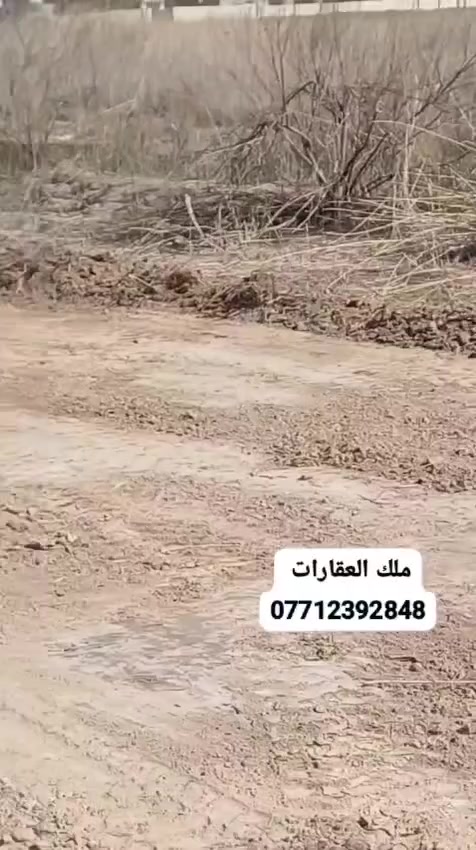 أرض زراعية للبيع مقابيل  مستشفى الشهيد ضاري الفياض  تبعد عن الشارع العام ٣٠٠ متر  المساحة ٢٧١٣ متر الواجهة ٣١ والنزال       ٥ ،٨٧  ركن على شارعين شارع ١٥ وشارع ١٠  سند ٢٥ طابو الزهور مسيجة بسياج بلوك تصلح مزرعة او مخازن او سكن  للإستفسار مراجعة شركة ملك العقارات للاستثمار والتطوير العقاري في البنوك شارع الكنيسة مقابيل ماركت الروعة  ***********
