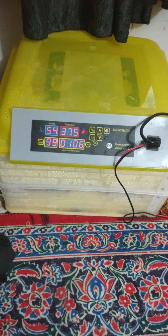 فقاسه ١٠٠ وغساله ١٥٠ حجم جبير الرمادي, الأنبار


**إذا كنت صاحب هذا الإعلان وتريد حذفه لأي سبب، رجاءا أرسل رسالة إلى الدعم الفني**