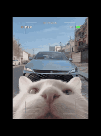 السلام عليكم ‏                                                                          كن بلاص للبيع 
ماشيه 5الالف 
السيارة باسمي 
رقم بغداد 
كامل ملحقاتها 
بصمة + كارت 
شاحنه اصلية 
بورد شحن 
گاعيات 
السعر 18  مليون و400  
متواجد واتساب ***********
👍
