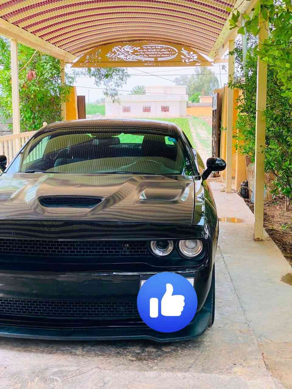 جالنجر للبيع موديل 2023
ضرر قطعتين جاملغ تبديل وتصليح  البنيد بدون دواخل بدون شاصي محرك كير كلة شرط عل فحص  السيارة جديدة واحله من الصور وفول ماعدة الفتحه رقم بغداد بسمي شرط التحويل ومشروع وطني من اي محافظة تحول سعر 210وبيه مجال  مكاني بغداد اليوسفيه 
هاتف ***********
