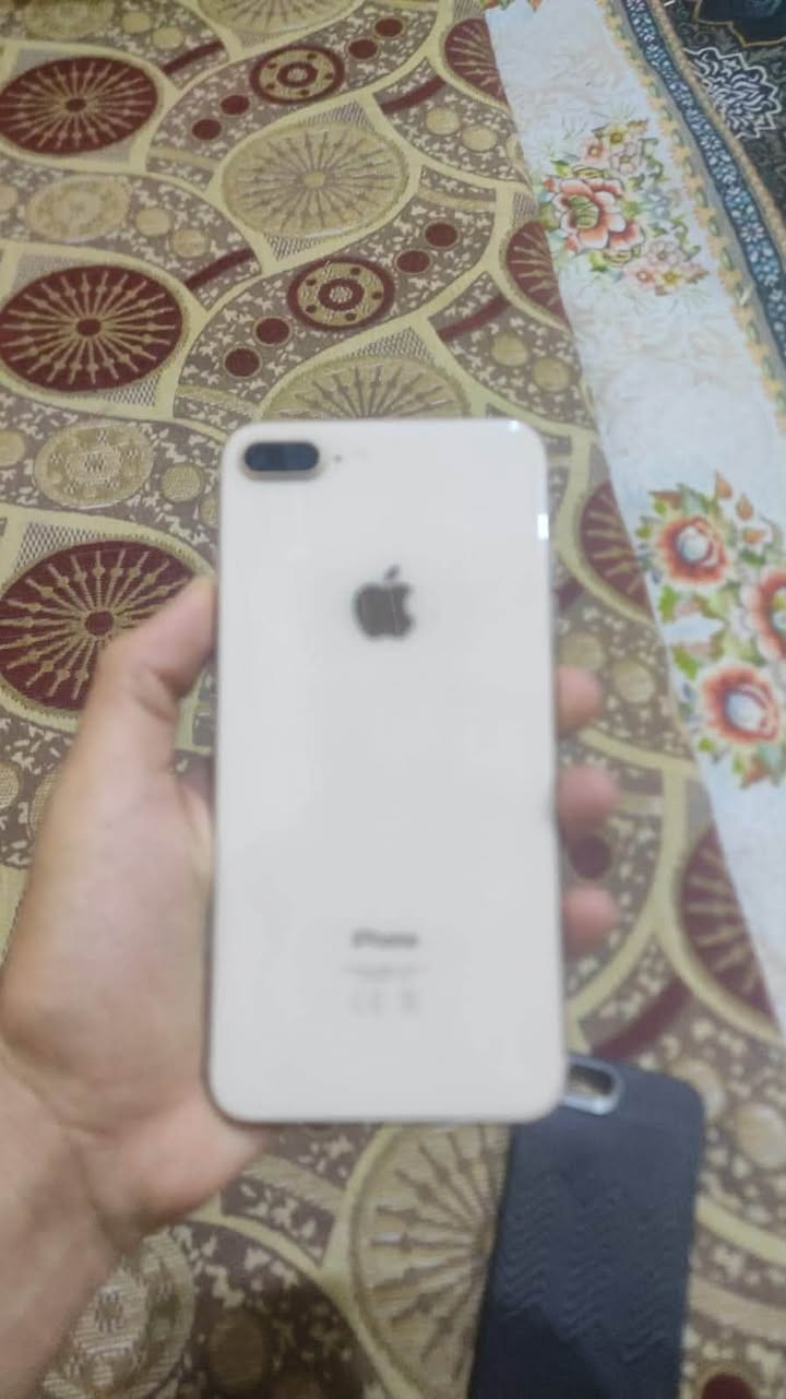 ايت بلاص ذاكرة ٦٤ بطارية ١٠٠ مستبدلة جهاز مكان شريحة لايعمل فقط مكاني بصرة الامن الداخلي


**إذا كنت صاحب هذا الإعلان وتريد حذفه لأي سبب، رجاءا أرسل رسالة إلى الدعم الفني**