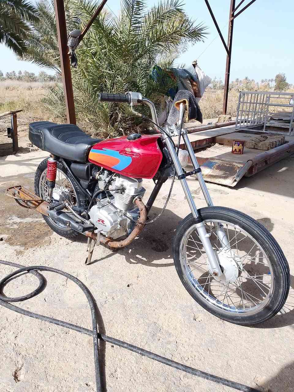 رابيدو للبيع معمره 25 دراجه جاهزه معوزه برغي مكينته مبدل والفات فقط نعومه ونهضه شك الكاع 450وبيه مجال  كلك كلك كلك رجائن المو شراي لا يخابر مامتواجد فيس *********** مكانه ديوانيه قضاء شاميه
