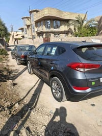 توسان • ٢٠١٧ • وارد امريكي