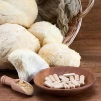 عرف الأسد • صحة المخ • تركيز وذاكرة