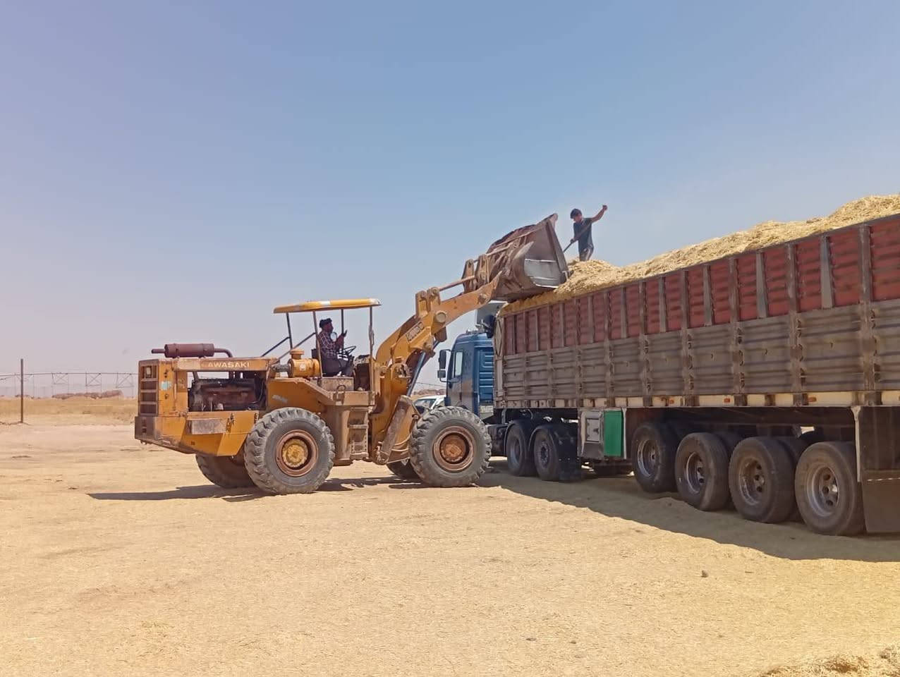 يوجد لدينا تبن درجه اولى الاستفسار على الرقم ***********.       ‏‪***********‬‏

