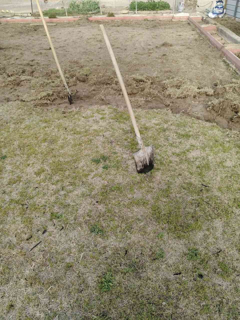 🔸 ترتيب وتنظيم الحدائق ☘️
🔸 زراعة شتلات وأشجار زينة🌹
🔸 تقليم وتعديل الأشجار      ☘️
🔸 تنسيق جمالي حسب ذوقك🌹
 
التفاصيل اكثر الاتصال ع الرقم
***********
او مراسلة الصفحة
