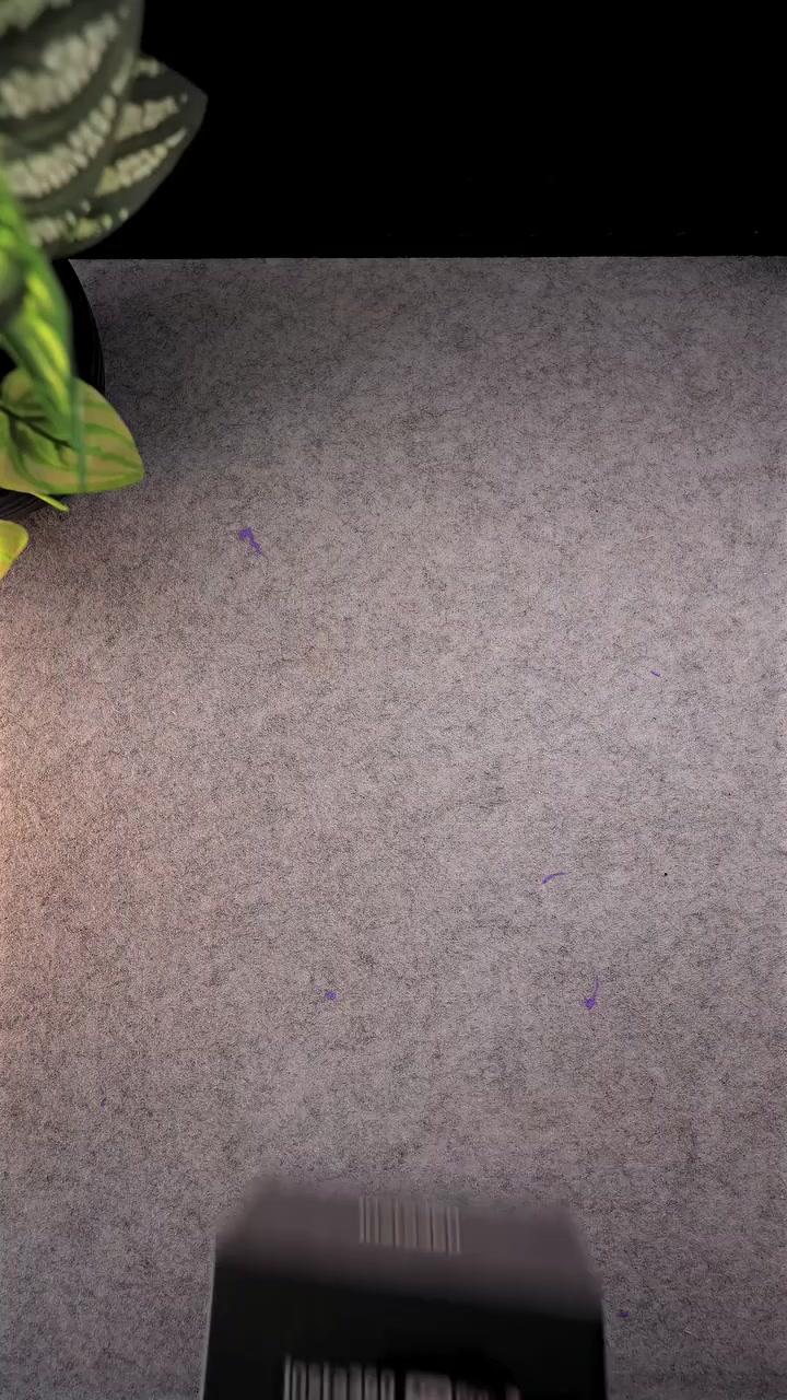 INSTA360 ACE PRO 2
كامرة انستا 360 ايس برو 2 الجديدة
تصوير سينمائي بدقة 8K🌇 وتصوير بطيئ بدقة 4K🌄
تأتي مع بطاريتين حجم 1800mah وغطاء مايك للرياح
وتربروف بعمق 12 متر 
متوفر توصيل لجميع المحافظات ***********
