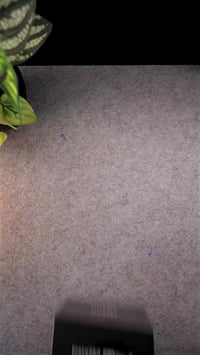 INSTA360 ACE PRO 2 كامرة انستا 360 ايس برو 2 الجديدة تصوير سينمائي بدق...