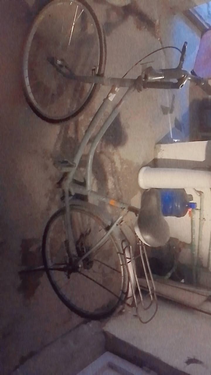 سلام عليكم شباب عندي بايسكل للبيع بطه مو بناتي مكاني زعفرانيه جامع علي العضيم 3فرع  حجم 24 رقم واساب ***********.   سعر 60 بي مجال
