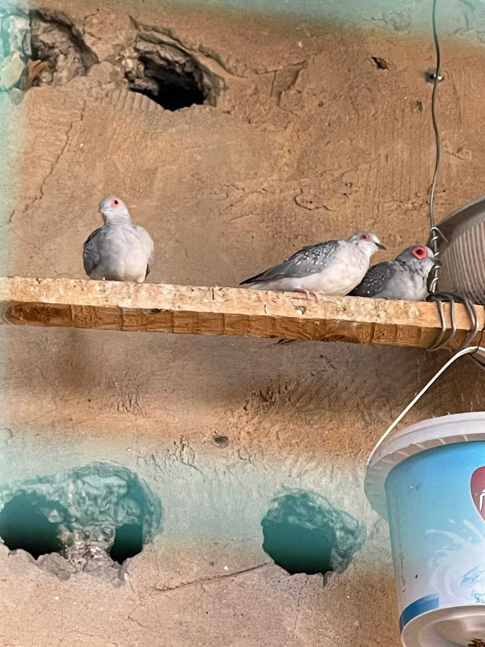 للبيع


**إذا كنت صاحب هذا الإعلان وتريد حذفه لأي سبب، رجاءا أرسل رسالة إلى الدعم الفني**