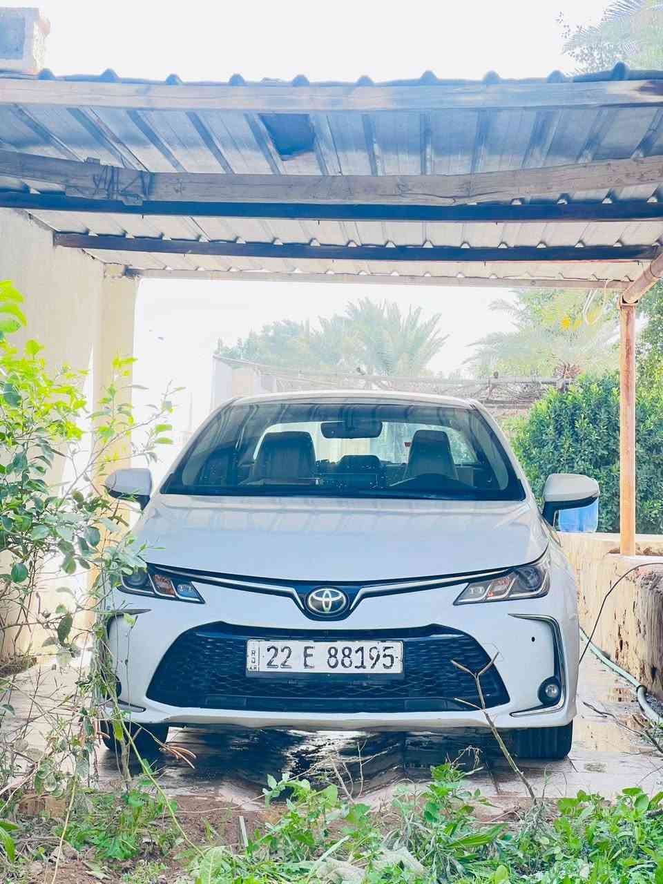 كورلا موديل 23 اربيل خليجي 1800 بانزين ساز نص فول
بعدها بضمان الشركة 
بيها قطعتين صبغ بنيد وبابا الخلفي عكس السايق وبيها تكحيل بالجاملغ الامامي 
شرط التحويل 
السعر 152
العنوان واسط تاج الدين
***********
