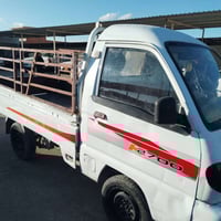 ٢٠٠٦ • منفيس • ماكو صبغ