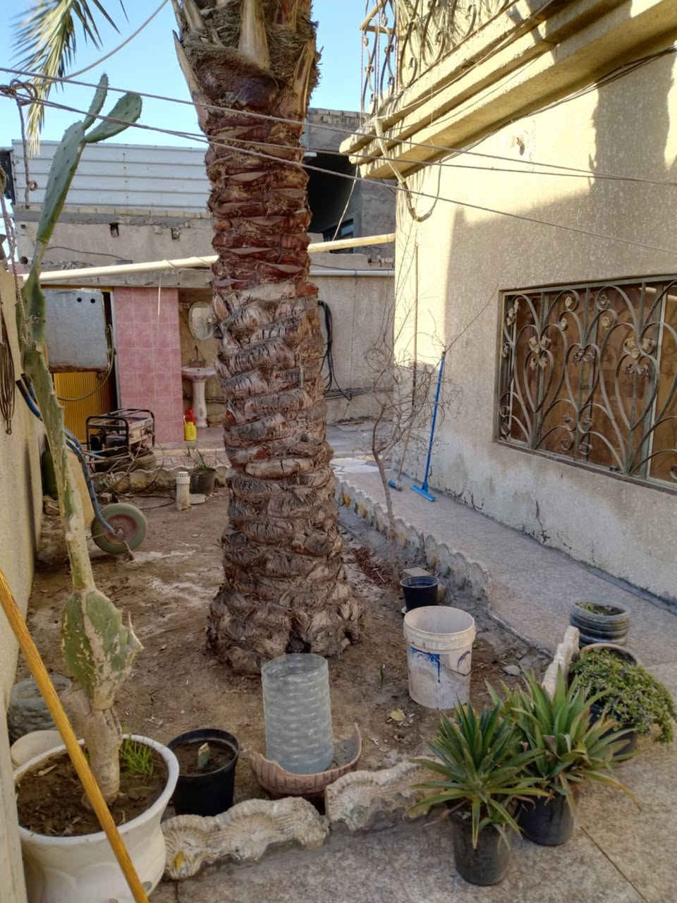 دار طابقين طابو صرف مساحة ٢١٠ متر للبيع منطقة الوردية سيف سعد قرب مستشفى الكفيل يحتوي على حديقة و كراج و مدخل و صالة واستقبال وطعام و غرفة نوم عدد ٤  مجاميع صحية  عدد ٣ بناءعام ٢٠٠٨ ونظيف جدا طابوق جمهوري وسقف كونكريت السعر ١٧٠ مليون غير قابل للتفاوض موبايل
***********
*********** ابو حسن
