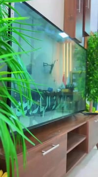 استلام جوازات • رحلة نصف رمضان • أسعار مناسبة