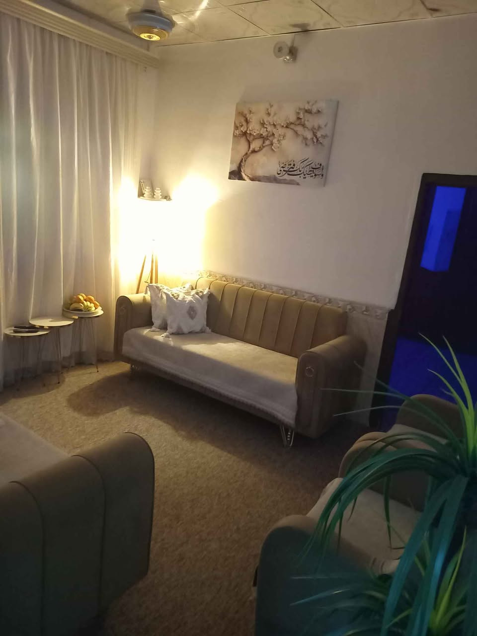 تخم 7مقاعد تزكام السعر 350 مع مجال بسيط عنوان كوفه ١٧ تموز النجف النجف, العراق


**إذا كنت صاحب هذا الإعلان وتريد حذفه لأي سبب، رجاءا أرسل رسالة إلى الدعم الفني**