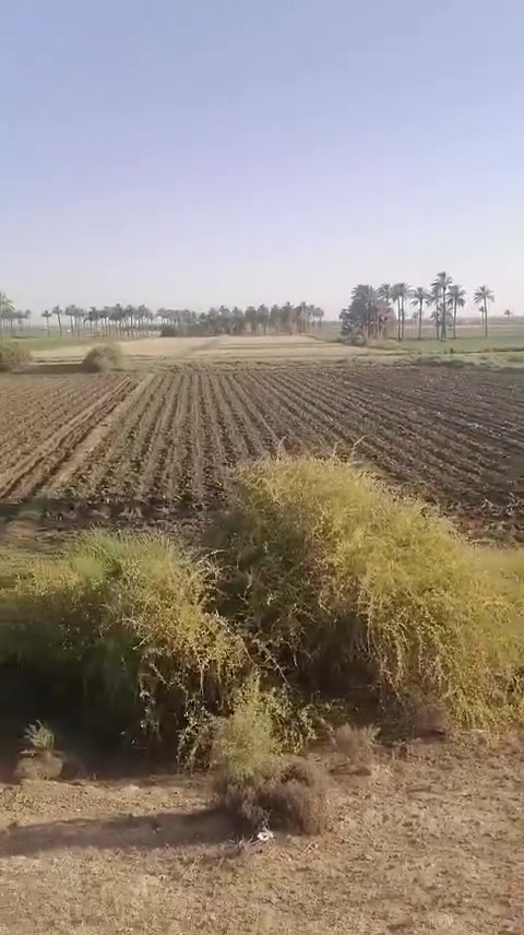 دوانم عدد 65للبيع يصلحن مزرعه 

العنوان الرمادي الدوار

طابو زراعي سند 25تحويل مباشر 

باقي التفاصيل بل الفيديو 

الاتصال ‏‪***********‬‏

عنوان المكتب الرمادي خلف العاب السندباد

