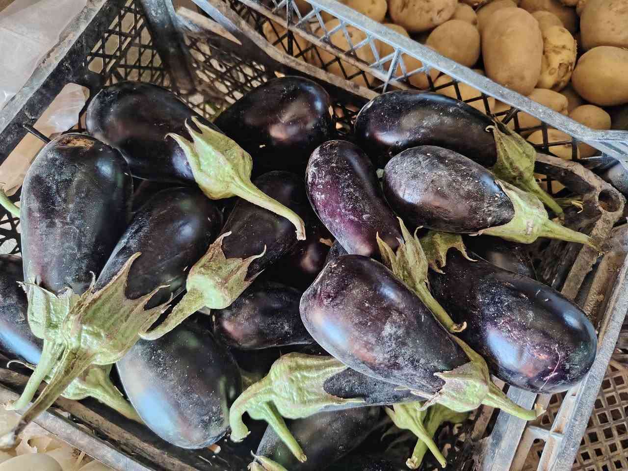 اسواق ابو الوليد ترحب بكم


**إذا كنت صاحب هذا الإعلان وتريد حذفه لأي سبب، رجاءا أرسل رسالة إلى الدعم الفني**