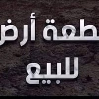شارع المعاره • ٢١٢م • سند ٢٥
