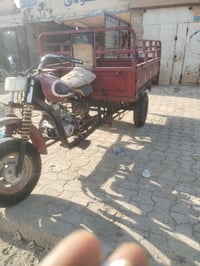 ستوته • بدون وراق • نضيفه