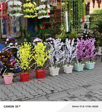 اشجار اصطناعية • تزيين البيت • بكل الاحجام