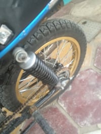 ذهبي • لامصبوغ • بلادي