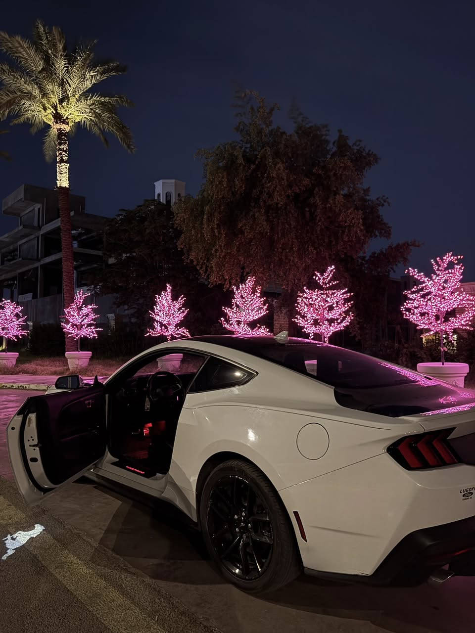 موستنك ايكو بوست 2024
بريميوم يعني فول الفول 
موصفات : 
كشنات تدفئة تبريد 
هاند بريك بصمه 
تخزين كشنات ميموري 
شاشة كامله متصله 
اناره داخليه بلاد 64 لون 
ترحيب بالشعار 
سماعات كينوود و سستم صوت دمام بلادي
عليها عطاس كهربائي 3 خطوط 3 نغمات  
داريف مود ( سبورت , تراك , كومفورت , نورمال , ثلج )
دعاميه دارك هورس و الدعاميه البلاديه هم موجوده و نظيفة تماماً 
حساس مري و رادار خلفي 
تشغيل عن بعد 
و السياره خير من الله مواصفات 
حادثها مثل ما موضح بالصور كلش خفيف و ايرباك الي تحت السايق 
ماشيه 63 الف كيلو و قابل للزياده 
مكان السيارة بغداد بأسمي تحويل بنفس اليوم و كاصها ع ايدي مكفوله من الدعاميه للدعاميه 
مراوس بموستنك GT 2024 او بيع  
للاستفسار *********** 
السعر 215 ورقه
