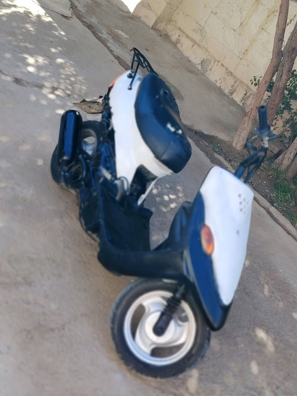 سلام عليكم ذبانه البيع 9 زروف مامفتوحه سعر 200 وبيه مجال قليل ***********
