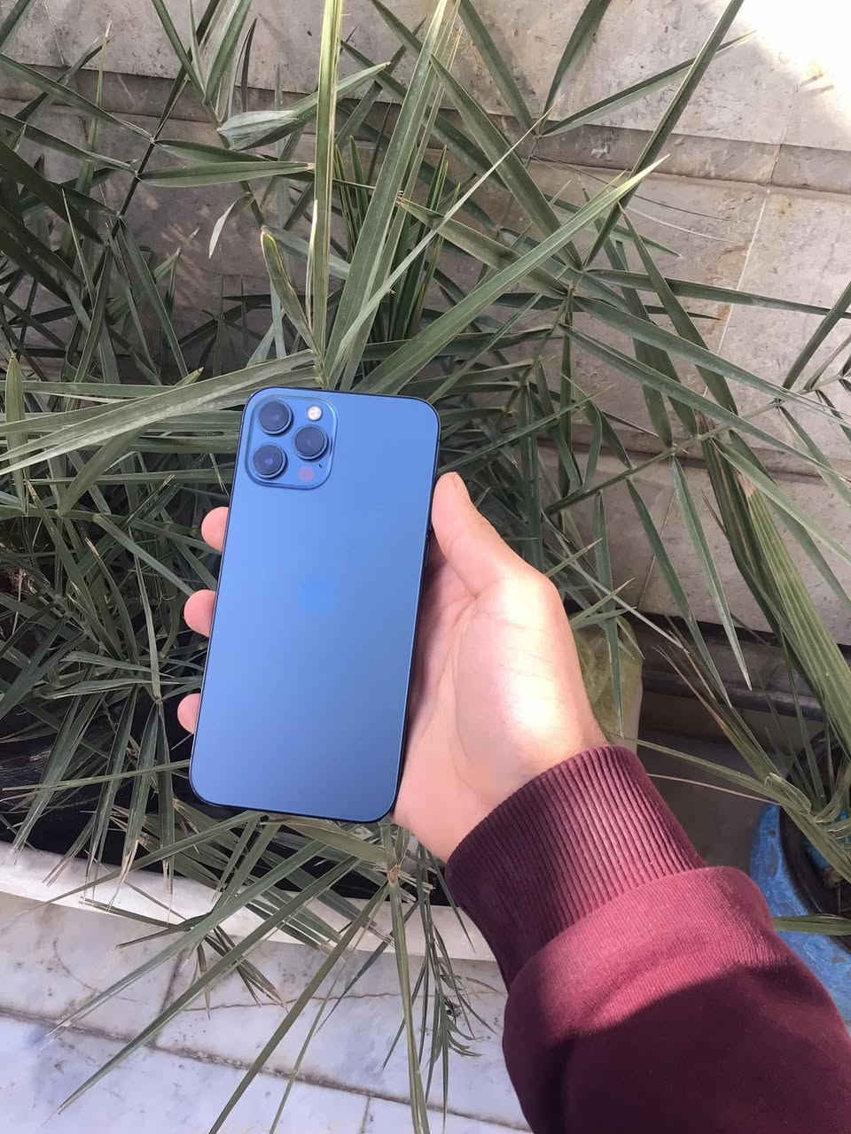 ايفون 12 برو ماكس
ذاكرة 512
بطارية 100 مبدلة🔋
شاشة مبدلة
كاميره الثالثة مبدلة فقط
ولباقي مكفول 
سعر 375 الف وبي مجال او مراوس
***********
