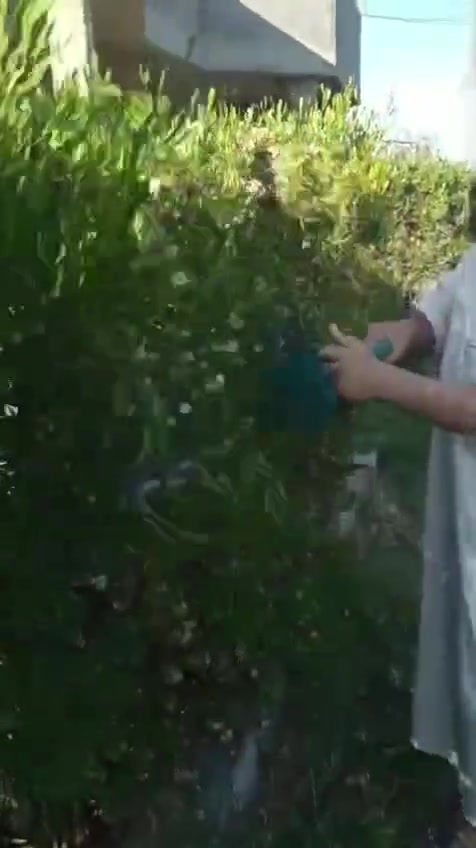 منشار تقليم من شركة بوش


**إذا كنت صاحب هذا الإعلان وتريد حذفه لأي سبب، رجاءا أرسل رسالة إلى الدعم الفني**