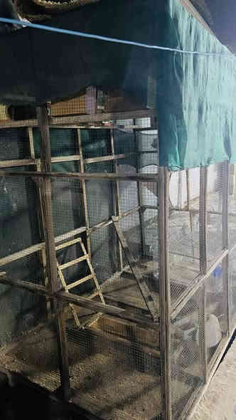 السلام عليكم 
متاح قفص درجه اولى
يصير الى كل انواع الطيور 
ارضيه خشب بلوك 
السكف  فايبر 
ارتفاع  2متر /طول ٢متر /العرض متر و25 
استخدام اقل السنه 
يحتوي على 9بقالات طيور حب 
السعر ب60وبيه مجال 
المكان حله مركز  قرب جسر بته 
الاستفسار على الرقم ***********
او خاص
