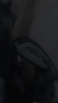 نامه شلامجه • معدل • ٢٠٢٠