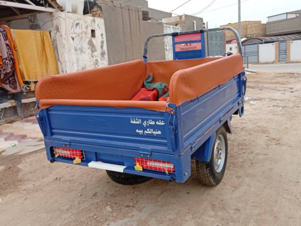 السلام عليكم ستوته للبيع مديل ٢٣ طالعه ٢٥ شهر سابع  مكفوله أوراق اصولي وكيله نبيل ابن جرد شراي يتصل ***********
