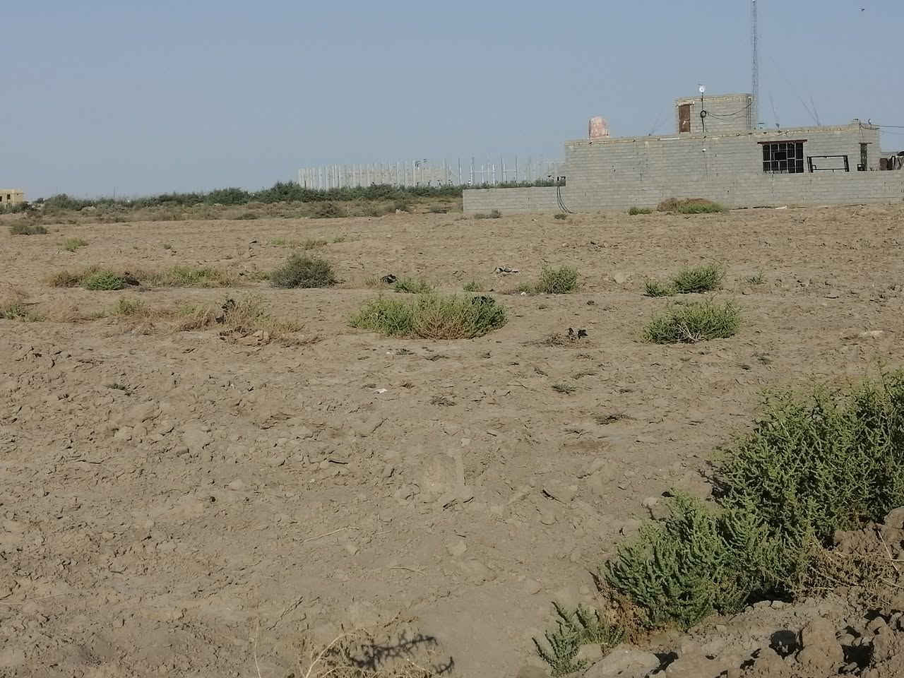 قطع زراعي للبيع مجاور قطع الحشد يتوفر ماء وكهرباء
الاتصال على الرقم ***********
