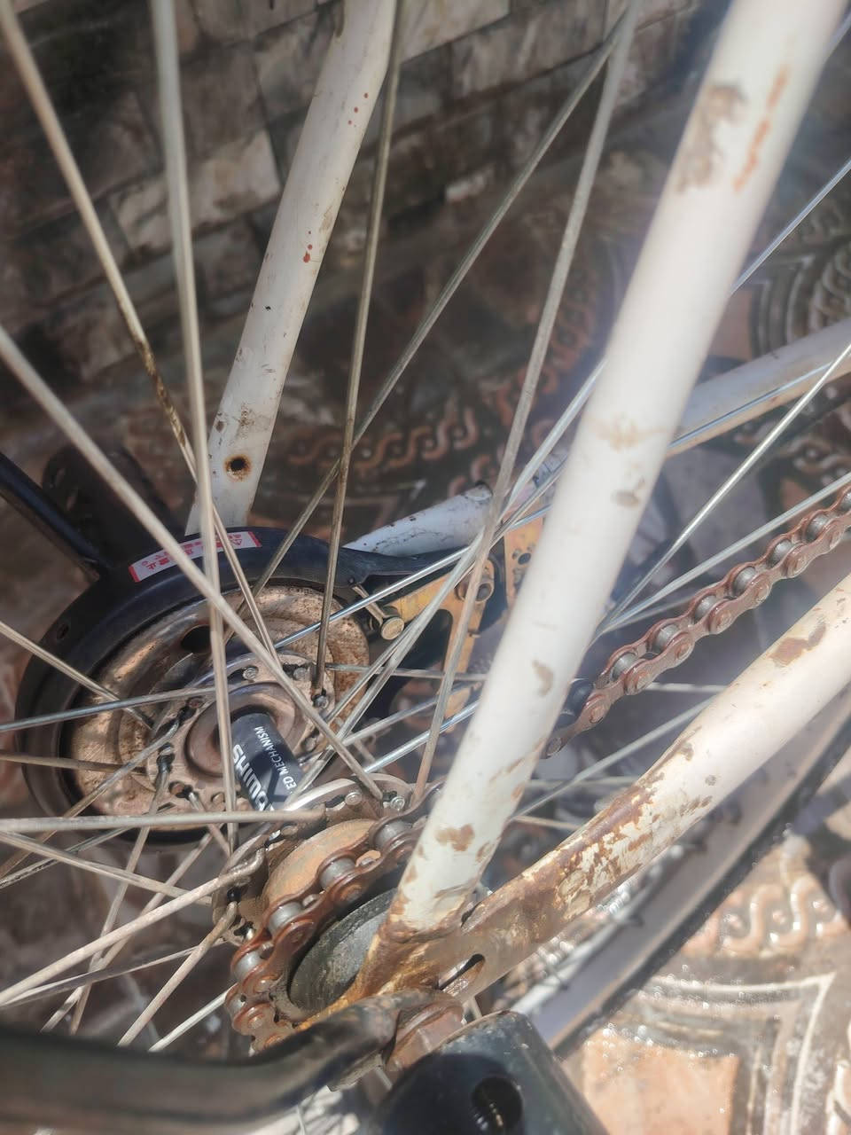 سلام عليكم بيسكل للبيع حجم 26 بيسكل وياله مصطره سعر 55 وبي مجال قليل مكان ناصريه مركز شراي يجي خاص


**إذا كنت صاحب هذا الإعلان وتريد حذفه لأي سبب، رجاءا أرسل رسالة إلى الدعم الفني**
