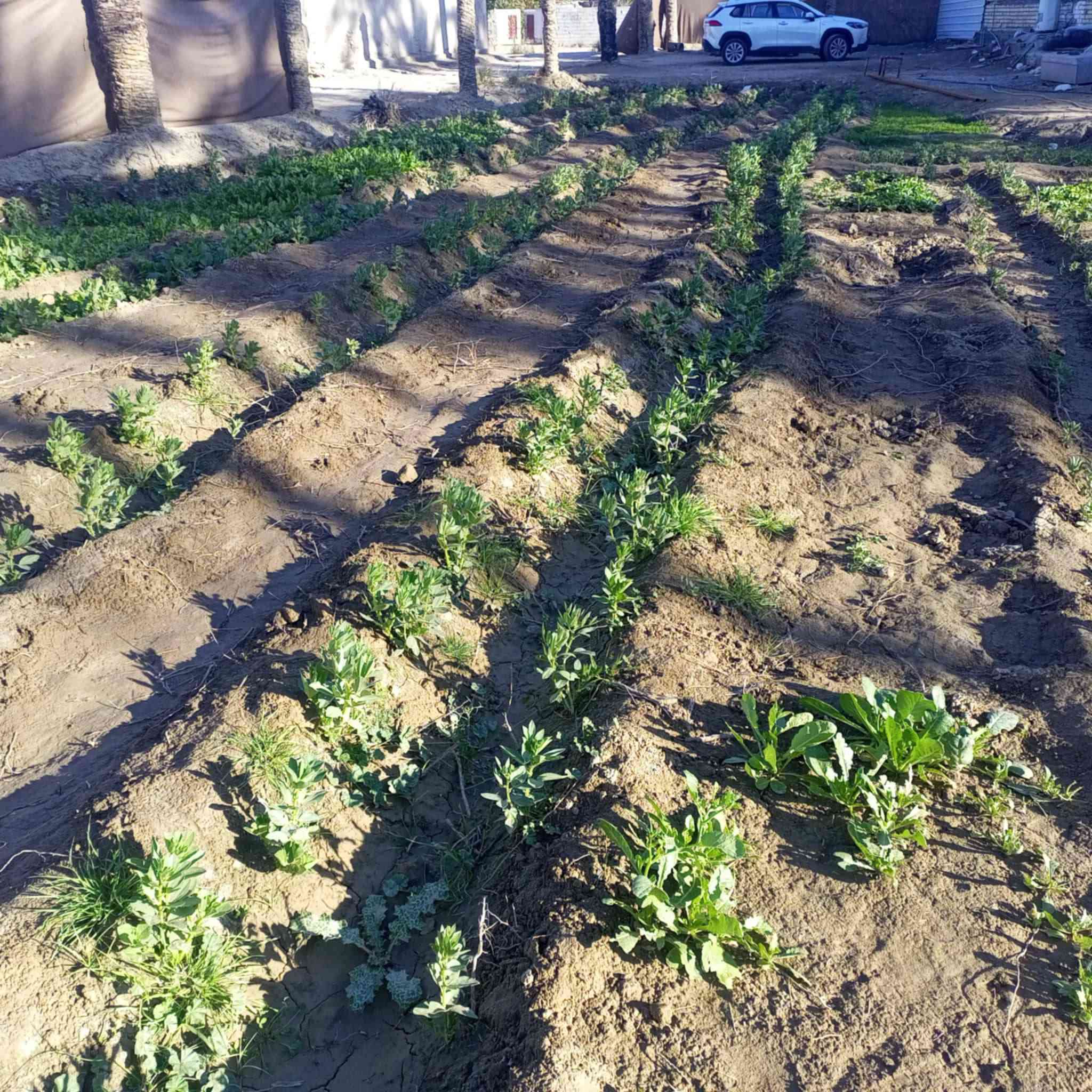 الف و 500 متر مع بيت حديث تحت البناء 220 متر طابو زراعي سند 25 تحويل بأسم المشتري
كافت الخدمات  يلعد عن شارع العام 200 متر 
العنوان طويريج الرغيله 
السعر 150 مليون مع مجال بسيط جدا ‏‪***********‬‏ فقط اتصال خاص مغلق لتعب نفسك
