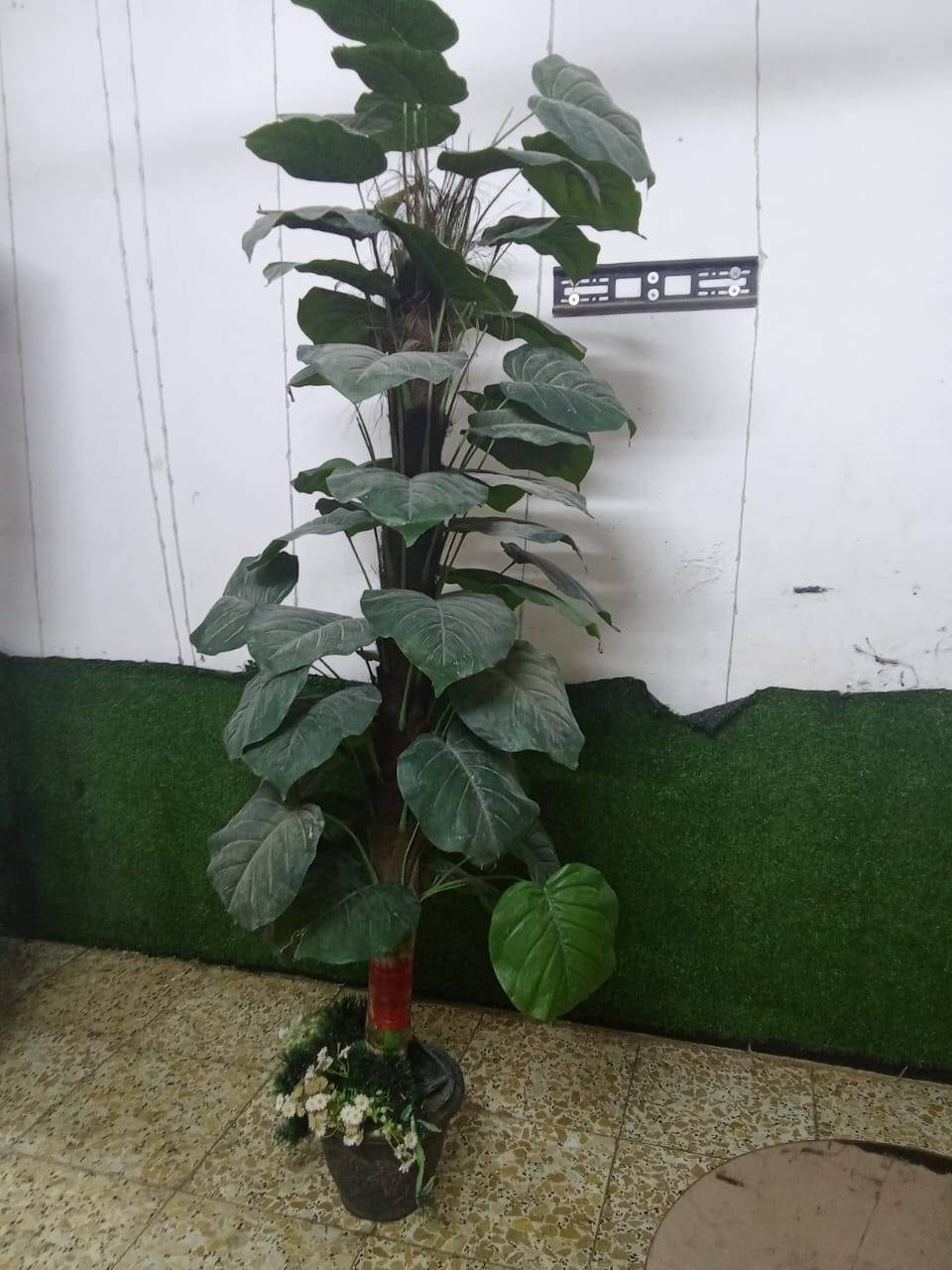 سلام عليكم عندي هذا نص تخم للبيع وطبله وصطيه وشجرة طوله مترتين كلهن للبيع وليجي يشترهن كلهن مابيع شي وعوف شي كلهن


**إذا كنت صاحب هذا الإعلان وتريد حذفه لأي سبب، رجاءا أرسل رسالة إلى الدعم الفني**