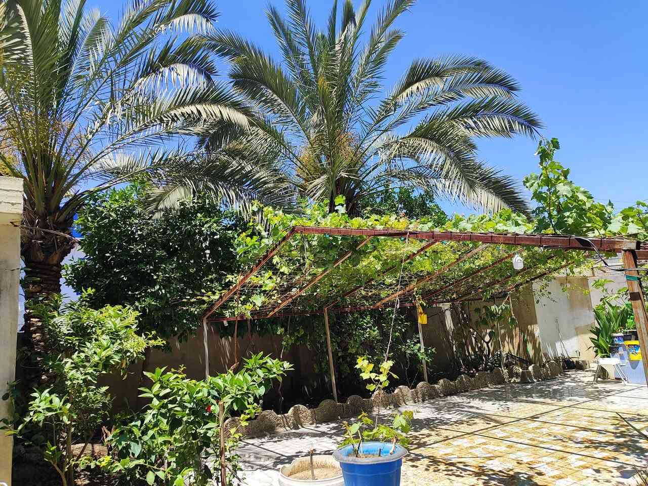 السلام عليكم ورحمة الله وبركاته....بيت للبيع طابو صرف باسمي المساحة 500مترفي خان بني سعد حي الرسول نظام فلة يحتوي على طابقين الطابق العلوي يحتوي على اربع غرف وصحيات كاملة فول سيراميك وسقوف ثانوية وصالة كبيرة وصالة صغيرة...اما الطابق الارضي يحتوي على غرفتين نوم كبار وصالة كبيرة واستقبال ومطبخ حار وبارد ويحتوي على مخبز وصحيات وكراج يسع اربع سيارات وبعد تفاصيل كثيرة وكذالك يحتوي على محل 7في 4وحديقة كبيرة تحتوي على نخل ونارنج ونومي حامض وتين وبعض الفواكه تلفون ***********.هاي الحديقة وأخذ قياس على بقية التفاصيل
