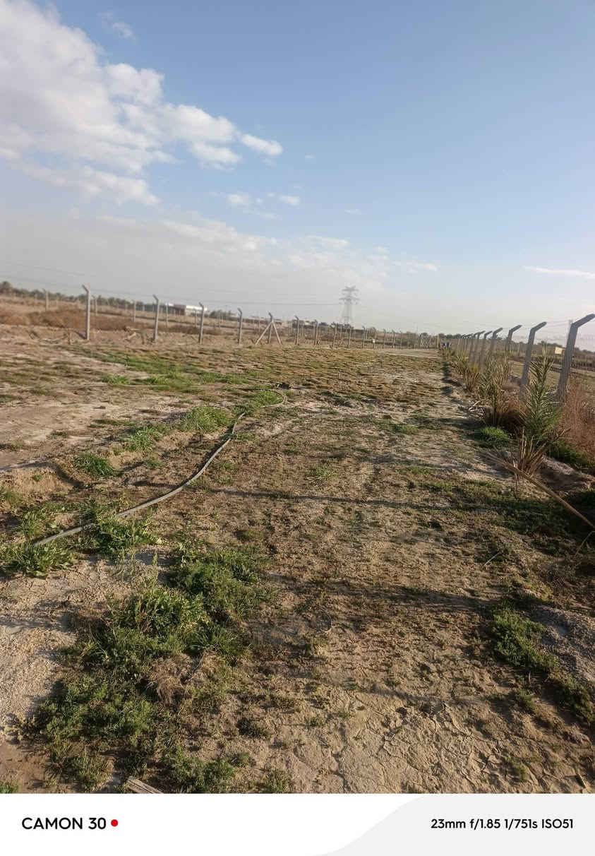 السلام عليكم ارض طابو زراعي سند/25/المساحه. نص دونم
الموقع خلف جامعه بابل / 
للاستفسار 
محمد رشيد ‏‪***********‬‏
منتظر الصليخي ***********
                        ***********
