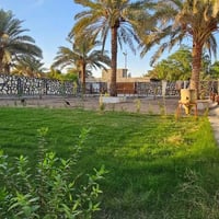 فلة • ١٠٠٠م • طابو زراعي