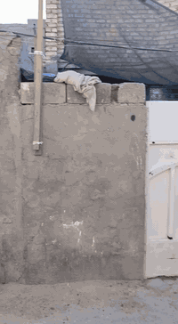 سلام عليكم دار للبيع مكان بغداد مدينة الصدر الدسيم قرب حسينية الرجل اصالح الدار مساحتة ١٦٠ متر واجيهة ٨ ول نزال ٢٠ بناء البيت نص طابوك ونص بلوك وباقي التفاصيل ول صور خاص سعر الدار ٨٤ وبي مجال ***********
