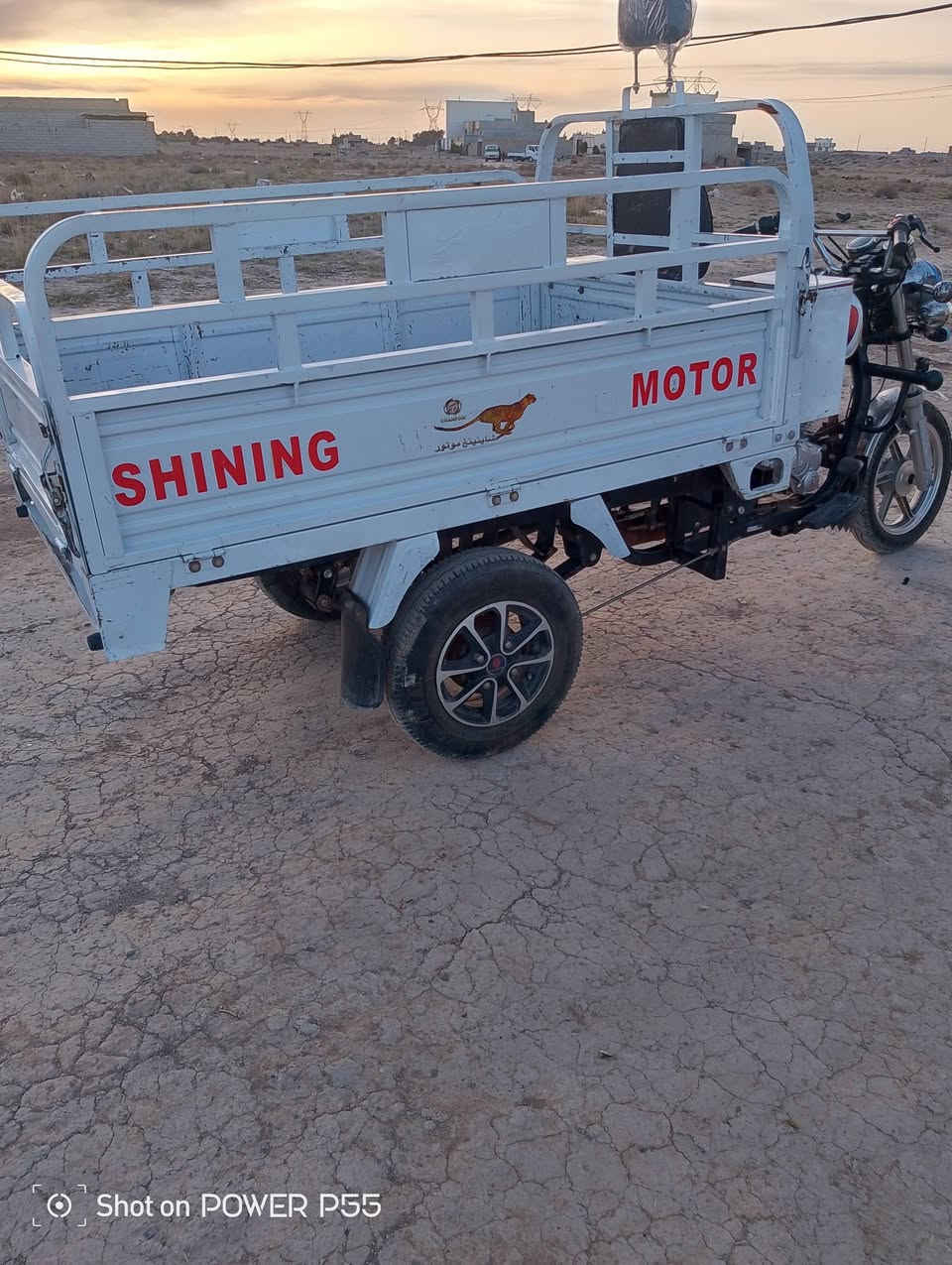 ستوتة للبيع ديالى دلي عباس 2023
‏‪***********‬‏
