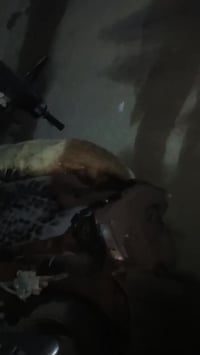 موتور بزونه للبيع بمجال 100 سعر بس شاص مقوي هذاي رقمي حاب يتوصل0750384...