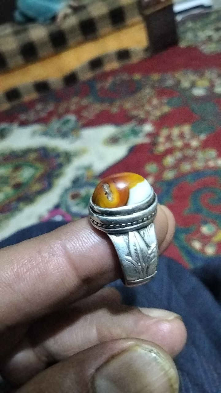 جزع معطف الشطره, ذي قار


**إذا كنت صاحب هذا الإعلان وتريد حذفه لأي سبب، رجاءا أرسل رسالة إلى الدعم الفني**