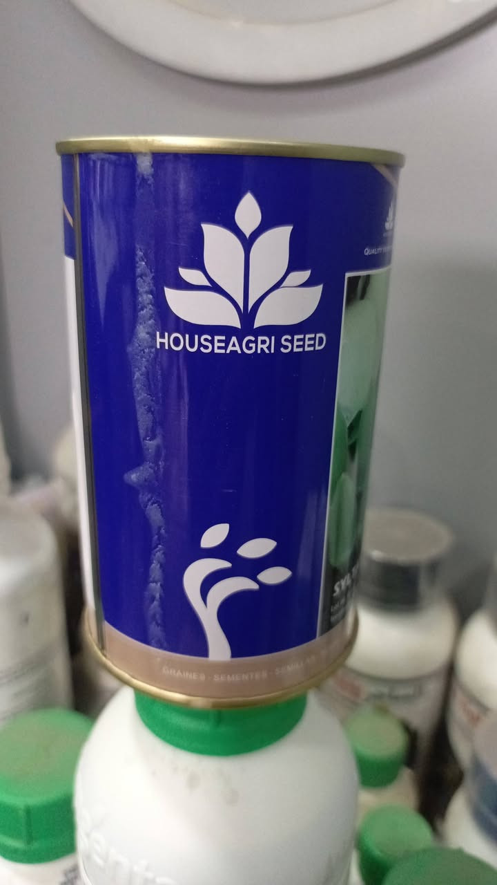 متوفر بذور بامية سلطانة الهجين
اشنركوا في كروبنا اسمه تجهيزات ( ازرع) متخصص في تجارة البذور والاسمدة والمبيدات محلي ومستورد
🌱 بامية هجينة ANUH F1
صنف عالي الجودة من البامية، يتميز بإنتاج وفير وثمار متجانسة ذات لون أخضر جميل، مناسب للزراعة المكشوفة والبيوت البلاستيكية.
✅ مميزات الصنف:
إنتاجية عالية ومستمرة
ثمار ناعمة مرغوبة في السوق
تحمّل نسبي للحرارة
نسبة إنبات تصل إلى 90%
نمو سريع وبداية إنتاج مبكرة
🌾 طريقة الزراعة:
موعد الزراعة: من شباط إلى نيسان (ربيعي) أو تموز إلى آب (خريفي)
طريقة الزراعة: بذار مباشر في التربة
المسافات:
بين الخطوط: 70–80 سم
بين النباتات: 25–30 سم
العمق: 2–3 سم
الري: خفيف ومنتظم (بدون تغريق)
🌿 التسميد:
قبل الزراعة:
سماد عضوي متحلل (2–3 طن/دونم)
بعد الإنبات:
NPK متوازن (مثل 20-20-20) كل 10–14 يوم
عند التزهير:
زيادة البوتاسيوم (مثل 12-12-36) لتحسين الإنتاج
يفضل إضافة عناصر صغرى (حديد + زنك)
📈 الإنتاجية:
يبدأ الحصاد بعد 45–55 يوم من الزراعة
إنتاجية الدونم: من 1.5 إلى 3 طن حسب العناية
الجني يكون كل يومين للحصول على ثمار طرية
💡 ملاحظات:
يفضل قطف الثمار صغيرة لزيادة الإنتاج
يحتاج مكافحة دورية للآفات (مثل المن والذبابة البيضاء)
التسميد المنتظم يزيد بشكل كبير من الإنتاج

علبة وزن ١٠٠  غرام 
السعر  ١٢   الف
يوجد حجز و توصيل لجميع المحافظات
للحجز اتصل / ***********
