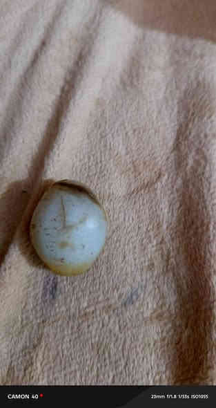 حجر سليمانيه حجره سلطانيه للبيع ***********
