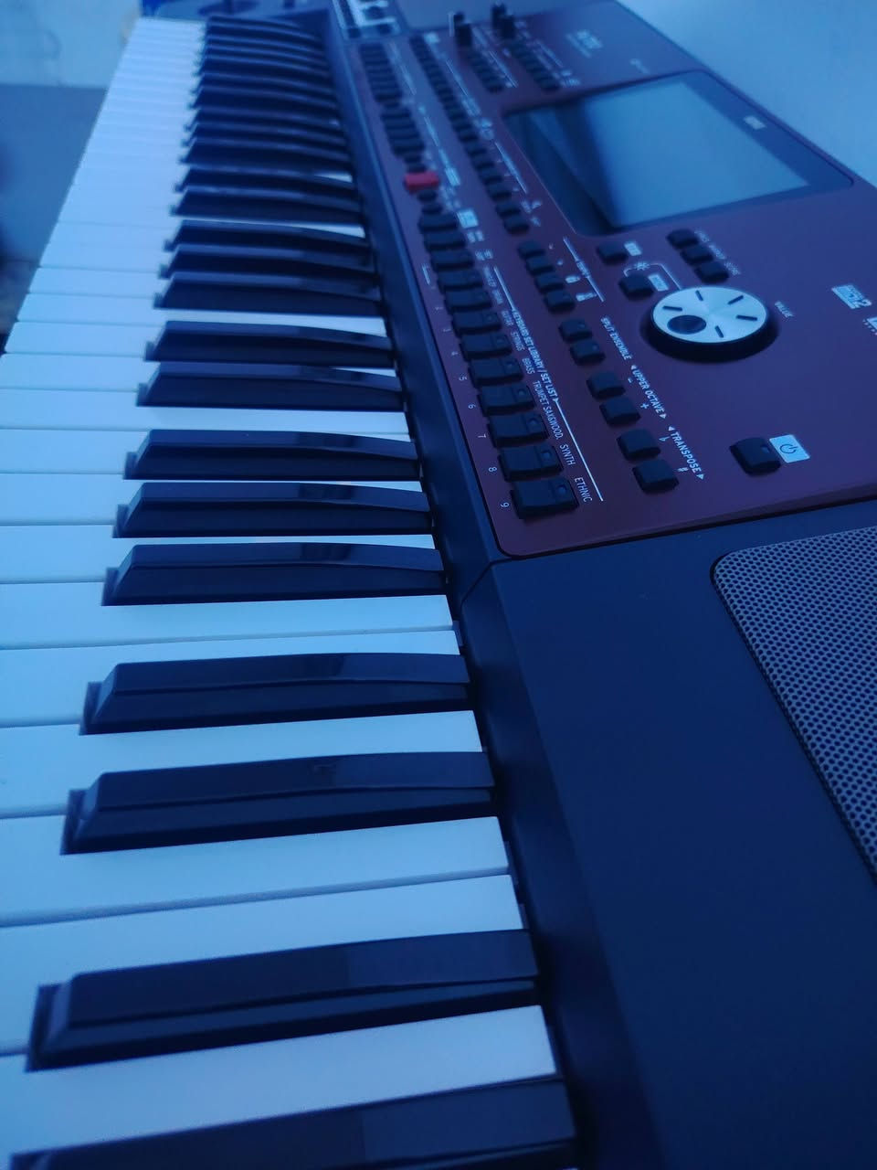 جاهز بعده بل كارتون للبيع قفله 9 ورقات مانزل ولا ربع المكان بغداد العضميه الشراي يجي خاص ويدلل شباب الموشراي لا يتعبني تحياتي لجميع


**إذا كنت صاحب هذا الإعلان وتريد حذفه لأي سبب، رجاءا أرسل رسالة إلى الدعم الفني**