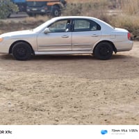 سوناته منغولي • كير عادي • صبغ جماليه