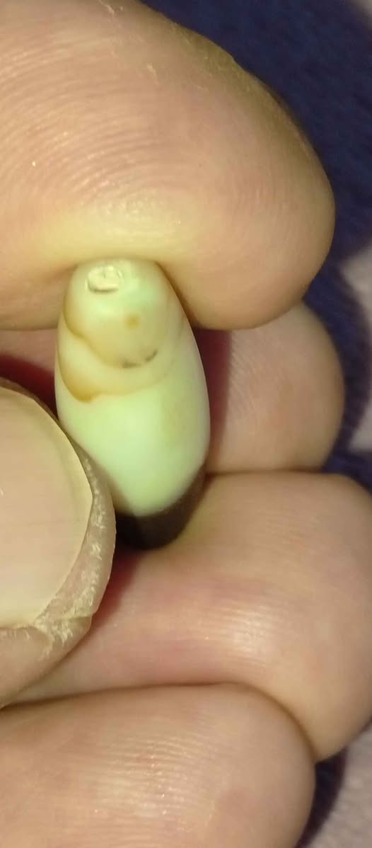 ‎جزع حبشي قديم‎ كربلاء, العراق


**إذا كنت صاحب هذا الإعلان وتريد حذفه لأي سبب، رجاءا أرسل رسالة إلى الدعم الفني**