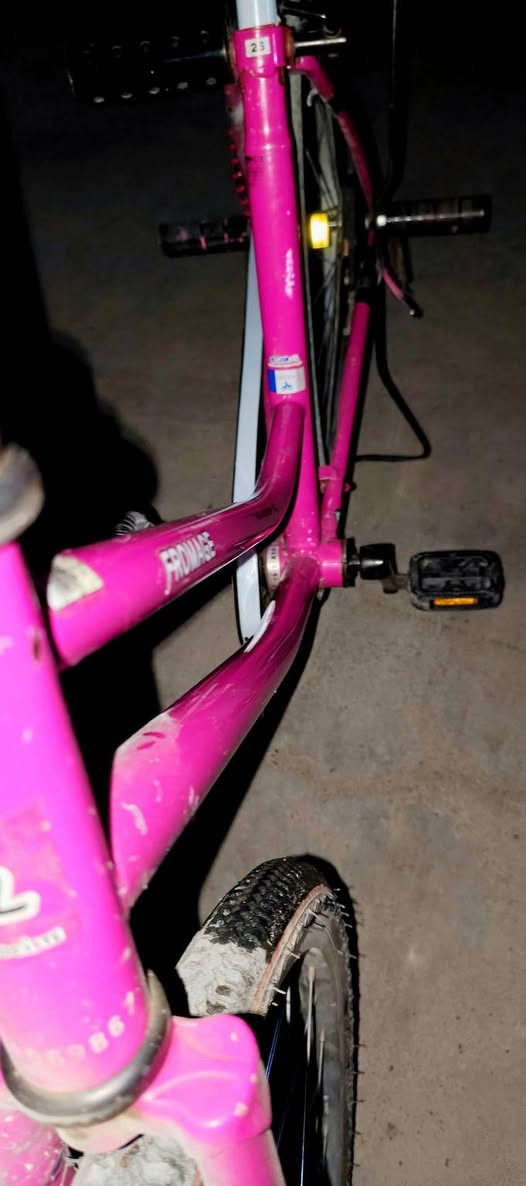 السلام عليكم 
بايسكل للبيع 

شركة مرغوبه فروماج

حجم 26

لون مميز 

مديل 2014

مكاني كركوك حي الاسرى والمفقودين


**إذا كنت صاحب هذا الإعلان وتريد حذفه لأي سبب، رجاءا أرسل رسالة إلى الدعم الفني**